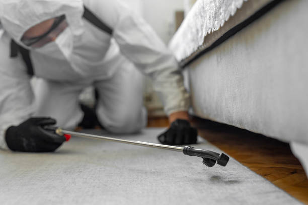 Professional Bed Bug Control technician working in Bradford, PA