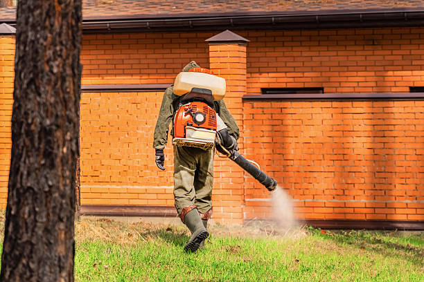 Trusted Mosquito Control service in Bradford, PA - Nex Pest Control